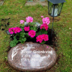 Sommarens blommor 2020