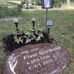 Sommar 2022.
Maryland Zinnia som tyvärr ännu inte har slagit ut.